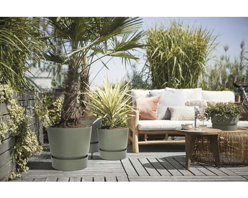 Außenszene mit Palmen und Pflanzen in Blumentöpfen auf einer Terrasse mit Sitzgelegenheiten
