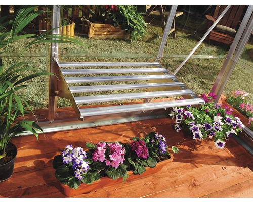 Innenansicht eines Gewächshauses mit Treppe und blühenden Topfpflanzen