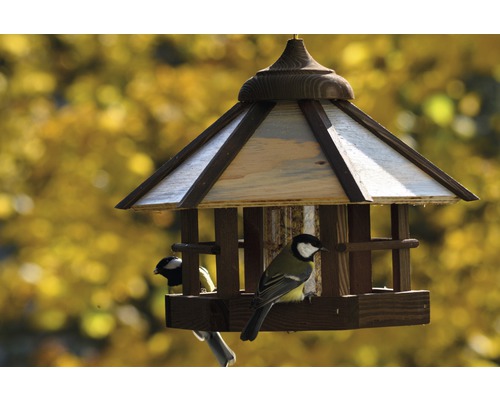 Vogelhaus mit zwei Meisen