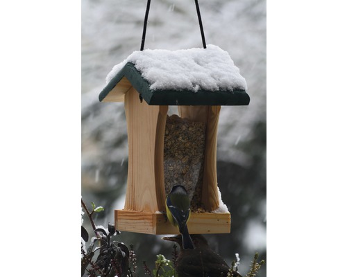 Vogelhaus mit Futter und Schnee, besucht von Vögeln