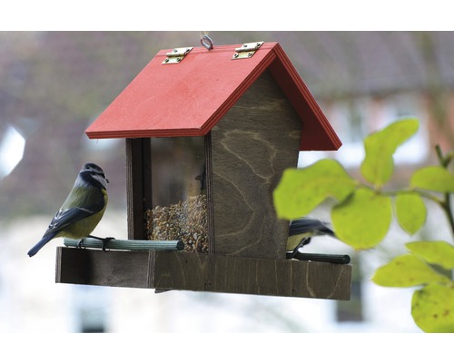 Vogelhaus mit Futter und Blaumeisen
