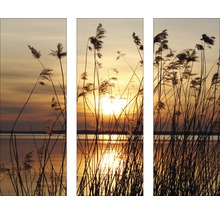 Dreiteiliges Wandbild mit Schilf im Gegenlicht eines Sees bei Sonnenuntergang.