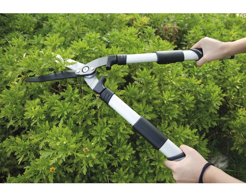 Eine Person benutzt eine Heckenschere mit Teleskopstiel zum Schneiden einer Hecke.
