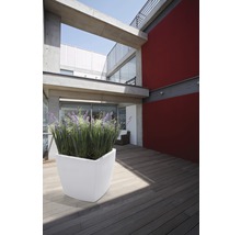 Blumenkasten aus Kunststoff auf einer Terrasse mit Holzboden und Pflanzen