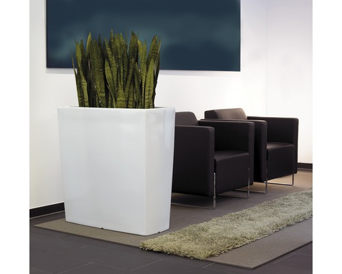 Szene mit einem Zimmerpflanzengefäß, einer Zimmerpflanze und Sesseln