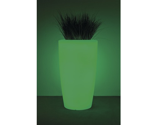 Leuchtender Pflanztopf mit Pflanze
