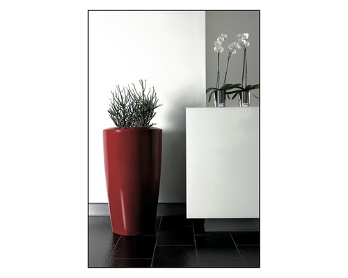 Dekoratives Interieur mit einer Pflanze in einem Pflanzgefäß und Orchideen in Vasen