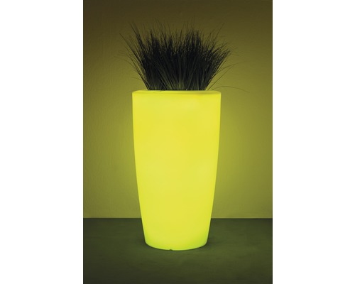 Beleuchteter Pflanzkübel mit Pflanze