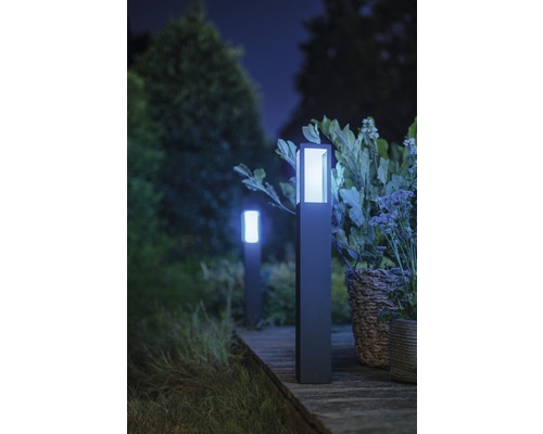 Zwei Gartenleuchten aus Metall auf einem Holzsteg beleuchten einen Garten bei Nacht.