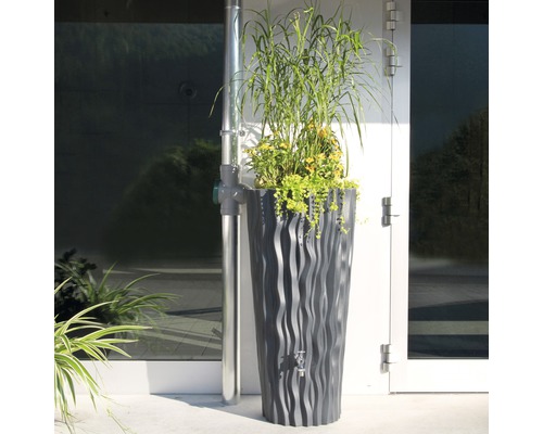 Regenspeicher mit Bepflanzung neben einem Fallrohr an einer Hauswand