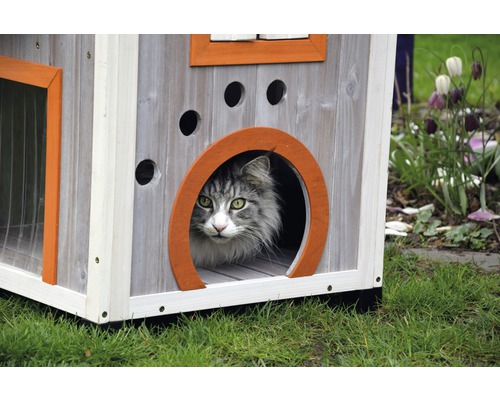 Katze in einem Katzenhaus aus Holz mit runder Öffnung