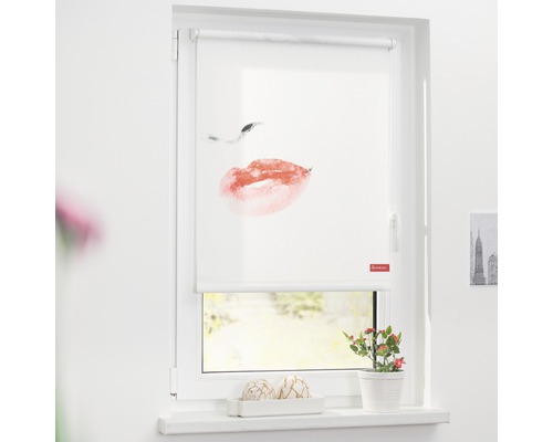 Klemmrollo Lichtblick ohne Bohren Face weiß 60x150 cm inkl. Klemmträger Fenster mit einem weißen Rollo mit einem Lippenmotiv.