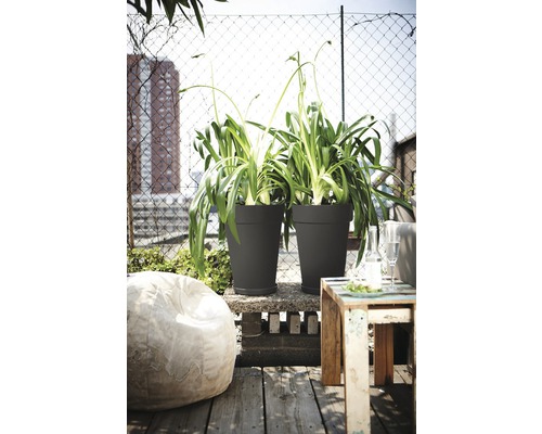 Szene mit zwei Pflanzen in Pflanzgefäßen auf einer Terrasse mit Holzboden