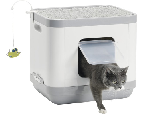 Katze verlässt eine Katzentoilette mit Spielzeugmaus