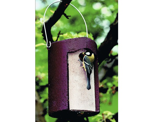 Vogelhaus mit Aufhängevorrichtung und Vogel