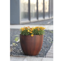 Blumentopf aus Metall mit gelben Blumen