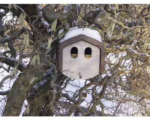 Vogelhaus mit zwei Öffnungen hängt an einem Baum