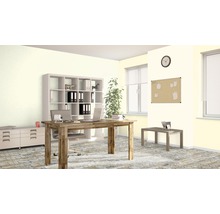 Büroraum mit Schreibtisch, Regal und Büromaterialien für ein produktives Arbeitsumfeld