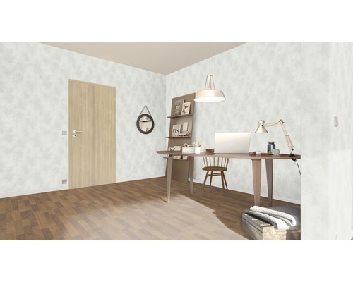 Heller Raum mit Schreibtisch, Stuhl, Regalen und Tür
