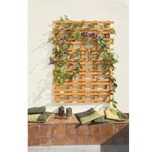 Holzspalier mit Kletterpflanzen an einer Wand, Sitzkissen auf Fliesen