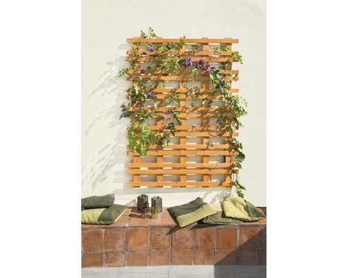 Holzspalier mit Kletterpflanzen an einer Wand, Sitzkissen auf Fliesen