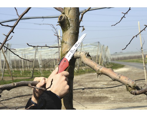 Eine Person schneidet einen Ast mit einer Handsäge ab.