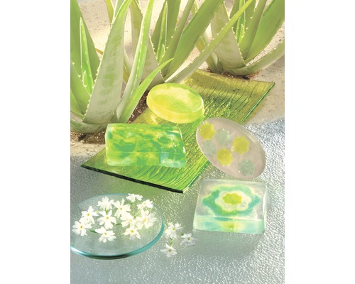 Verschiedene Aloe Vera Seifenstücke mit Blumen auf Glasplatten