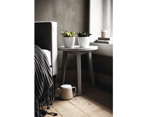 Zwei Pflanzen in weißen Töpfen auf einem Beistelltisch neben einem Sessel