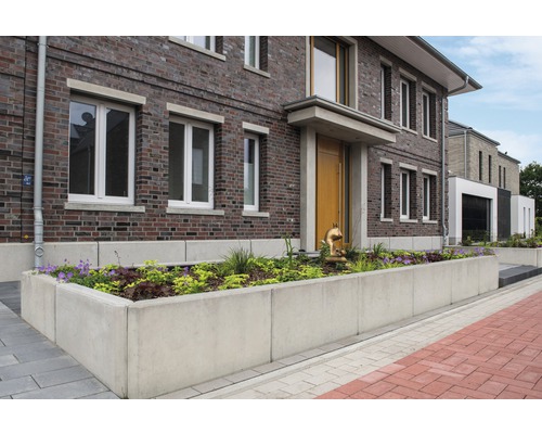 Hausfassade mit Betonmauer-Blumenkasten und Bepflanzung