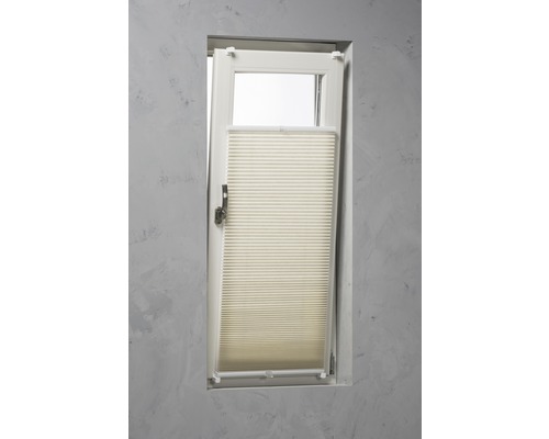 Plissee-Rollo am Fenster zur Lichtregulierung und als Sichtschutz