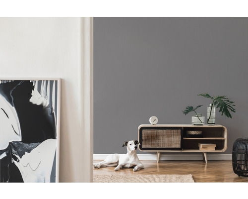 Wohnzimmer mit grauer Wandfarbe, Sideboard, Zimmerpflanzen und Hund