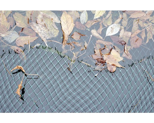 Laub auf einem Teichnetz