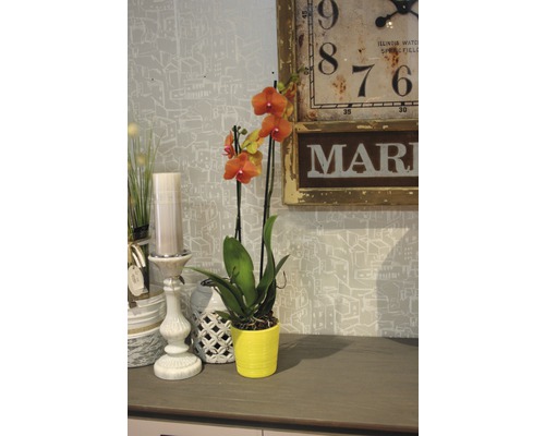 Dekorative Szene mit orangefarbener Orchidee im gelben Topf, Vintage-Uhr und Kerzenständer