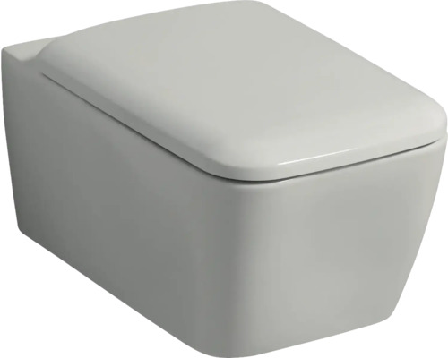 Wand-Tiefspül-WC mit geschlossenem Design