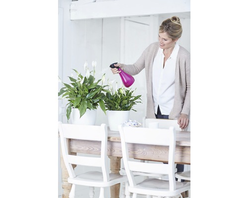 Frau gießt Zimmerpflanzen mit einer Sprühflasche auf einem Tisch.