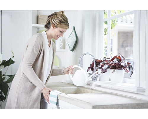 Frau gießt Pflanzen in Töpfen mit einer Gießkanne am Spülbecken