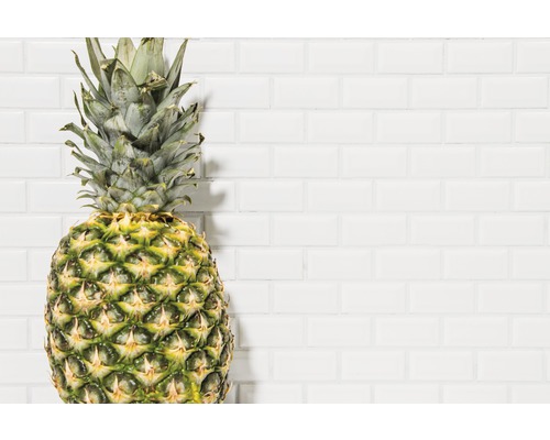 Ananasfrucht vor weisser Wand