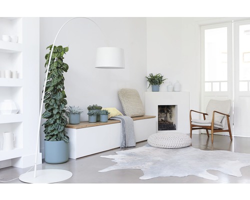 Heller Raum mit Zimmerpflanzen, Bogenlampe, Sitzbank und Teppich
