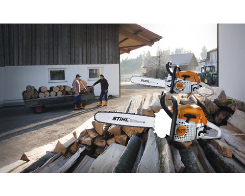 Zwei STIHL Motorsägen auf einem Stapel Holz, im Hintergrund sind zwei Personen und ein Anhänger mit Holz zu sehen.