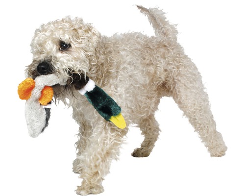 Hund trägt Spielzeugente im Maul
