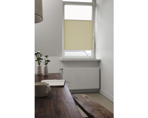 Szene mit Plissee am Fenster, Tisch, Bank und Heizkörper