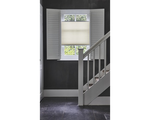 Innenraum mit Treppe, Fenster mit Fensterläden und Plissee