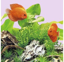 Aquariumbeleuchtung JUWEL LED Colour 23 W 1200 mm