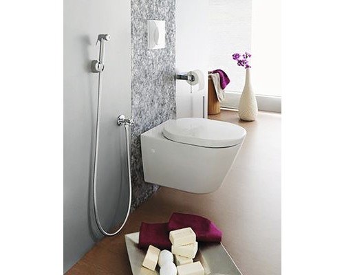 Modernes Badezimmer mit wandhängendem WC, Bidet-Dusche und stilvoller Dekoration