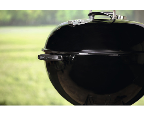 Weber Kugelgrill im Detail
