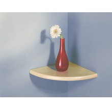 Eckregal mit Blumenvase und Blume zur Wandmontage