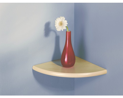 Eckregal mit Blumenvase und Blume zur Wandmontage