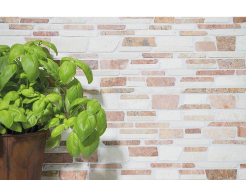 Wandgestaltung mit Steinverblendung und Basilikumpflanze im Topf