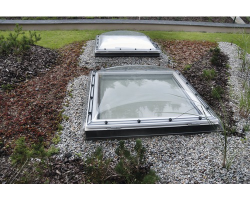 Zwei Dachfenster auf einem Gründach mit Kies und Vegetation