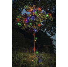 Baum mit mehrfarbiger Lichterkette im Garten